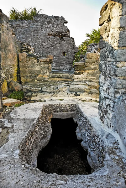 Sitio arqueológico maya de tulum — Foto de Stock