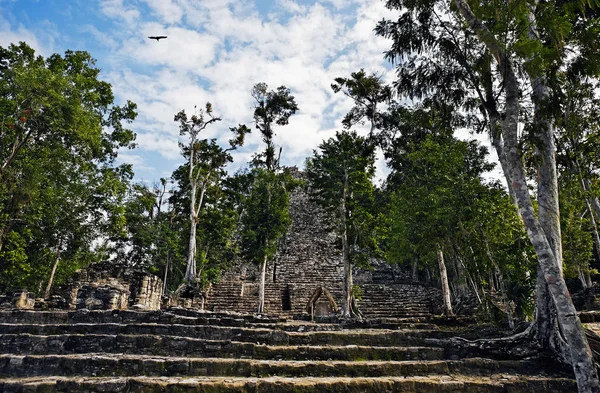 Sitio maya de Coba —  Fotos de Stock