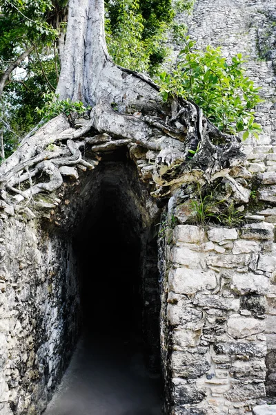 Mayan site of Coba — Stock Photo, Image