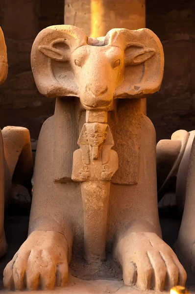 Karnak 사원의 Ram 동상 — 스톡 사진