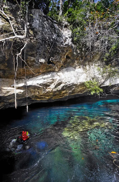 Immersioni subacquee nel cenote — Foto Stock