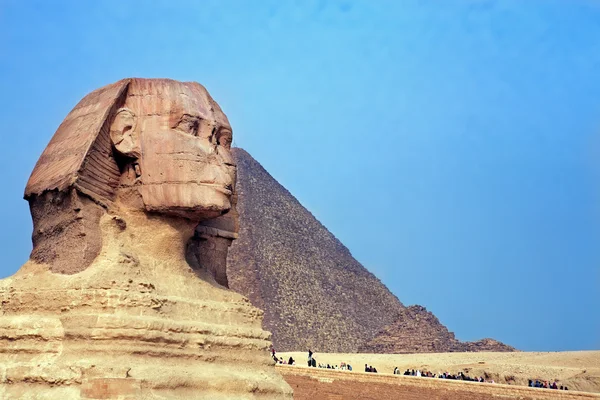 Le sphinx et les pyramides — Photo