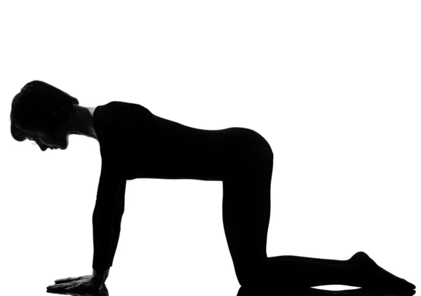 Bidalasana katt pose yoga kvinnan — Stockfoto