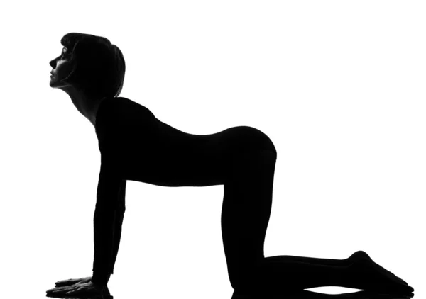 Bidalasana katt pose yoga kvinnan — Stockfoto
