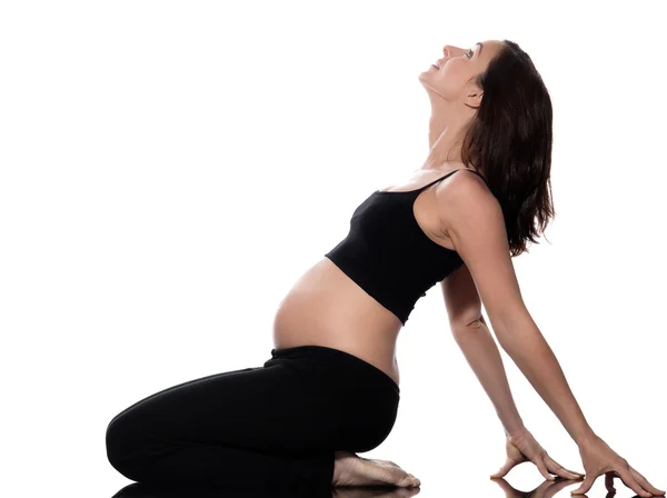 Hamile kadın egzersiz germe — Stok fotoğraf