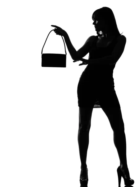 Stylish silhouette woman holding purse w — Stock Photo, Image