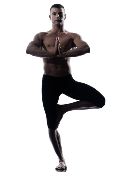 Mannen yoga balans vriksha-asana trädet utgör — Stockfoto
