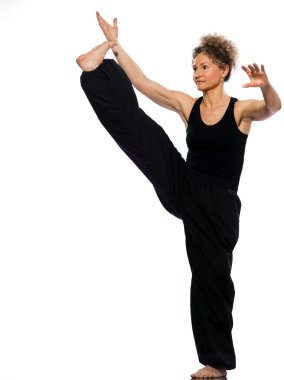 Woman tai chi clipart