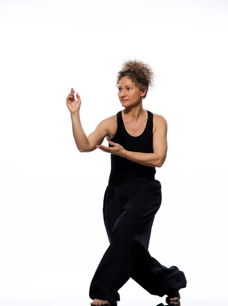 Vrouw tai chi chuan tadjiquan houding vormen positie — Stockfoto