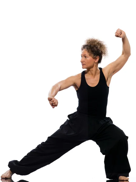 Mujer tai chi chuan tadjiquan postura pose posición — Foto de Stock