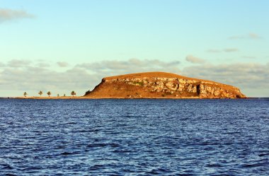 Abrolhos Adaları