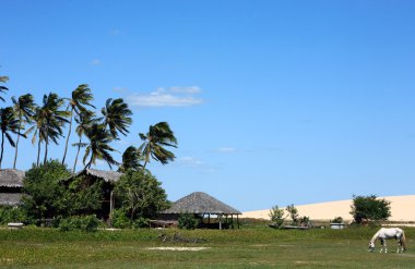 Jericoacoara