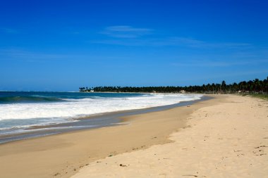 maracaipe Beach