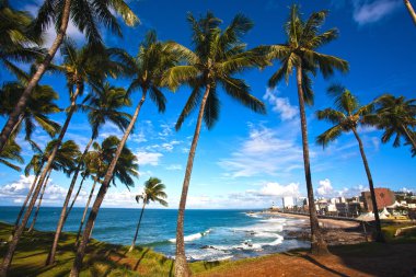 Barra beach salvador of bahia clipart