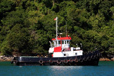 Ilha grande