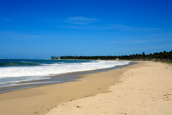 Beach of maracaipe — Stock Photo, Image