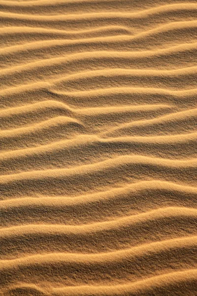 Sand dune of cumbuco — Stock Photo, Image