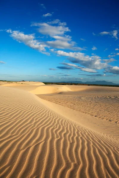 Písečné duny cumbuco — Stock fotografie