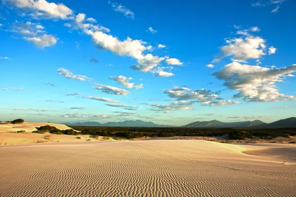 Dune de sable de cumbuco — Photo