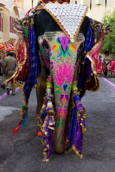 Gangaur festivali-jaipur — Stok fotoğraf