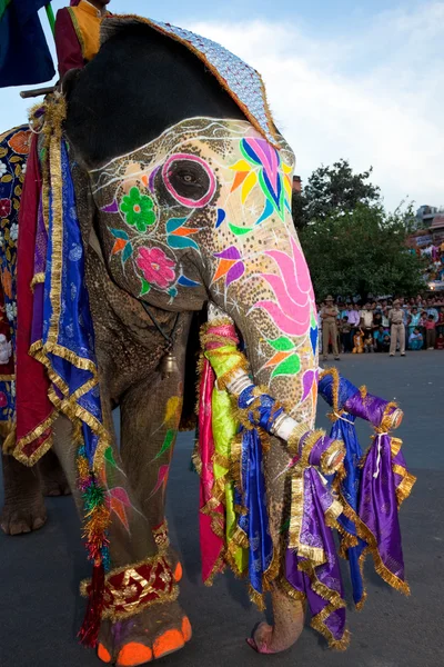 Festival de gangaur-jaipur — Fotografia de Stock