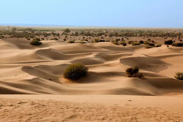 У пустелі поблизу джайсалмера — стокове фото