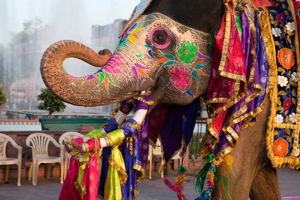 Gangaur festival-jaipur elefant porträtt Royaltyfria Stockfoton