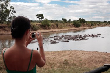 Masai mara