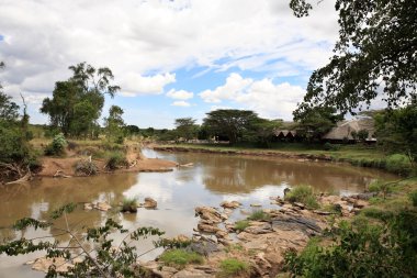 Masai mara