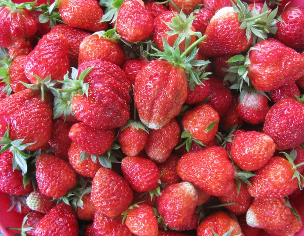 stock image Ripe strawberries