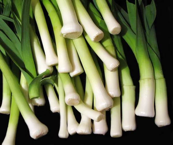 Long fresh organic green onions — Stock Photo, Image