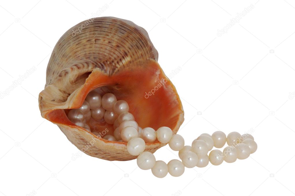 Pearl inside the shell