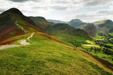 kedi çan ve derwent fells - İngiltere