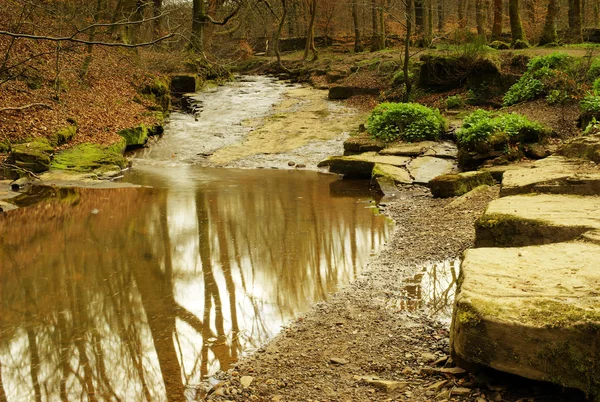 Fast Flowing Spring Stream - England — Stock Photo, Image