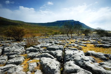 kireçtaşı kaldırımı