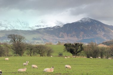 Bulutların üzerinde skiddaw - İngiltere