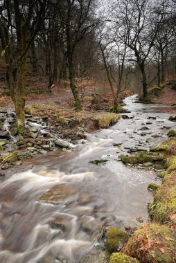 Fast Flowing Spring Stream - England clipart