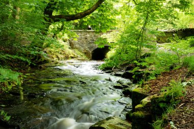 A Summer Stream - England clipart