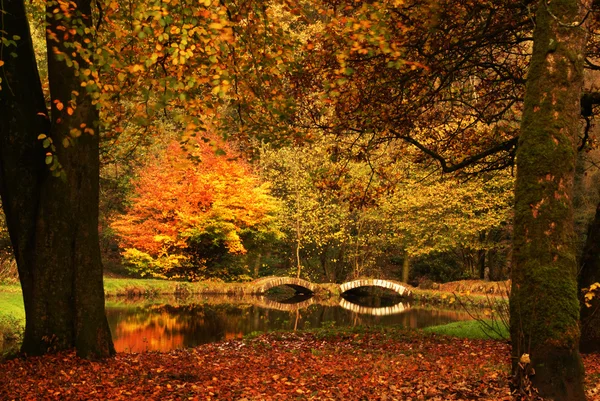 A Calm Fall Stream - England — Stock Photo, Image