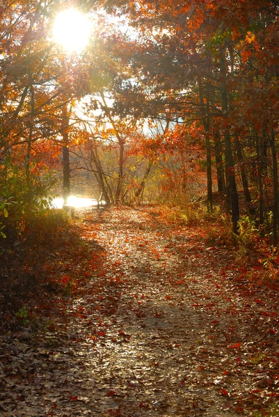 秋天的路径 — 图库照片