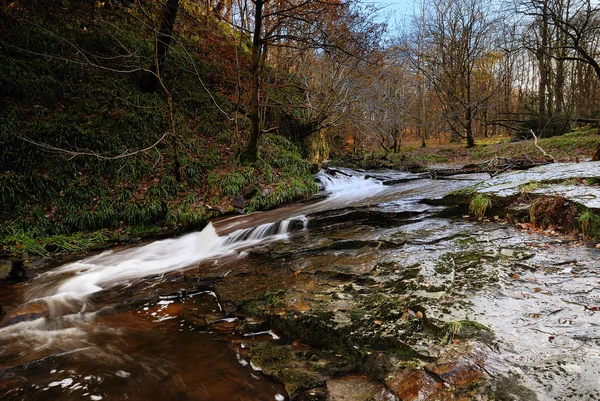 Un arroyo de invierno - Inglaterra —  Fotos de Stock