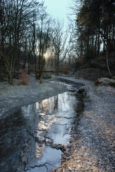 Un arroyo de invierno - Inglaterra — Foto de Stock