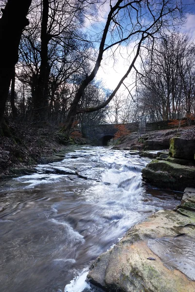 Un arroyo de invierno - Inglaterra —  Fotos de Stock
