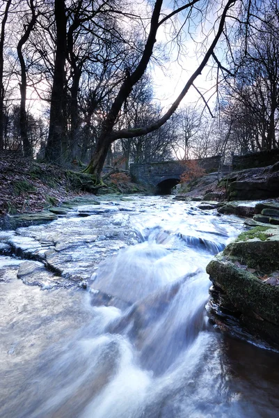 A Winter Stream - England — Stock Photo, Image