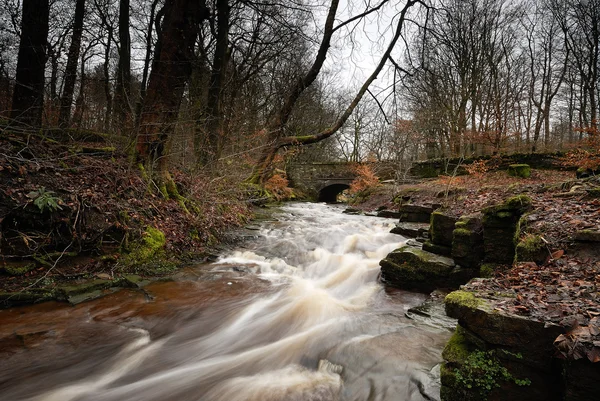 Autumn Stream - England — Stock Photo, Image