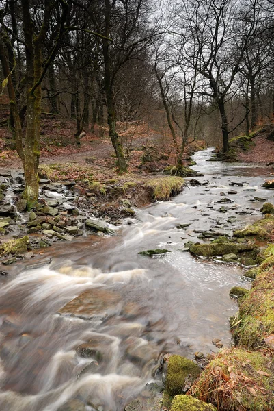 Corriente de primavera de flujo rápido - Inglaterra —  Fotos de Stock