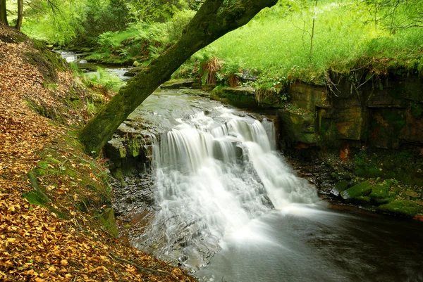 Una caída de agua en un arroyo de verano - Inglaterra —  Fotos de Stock