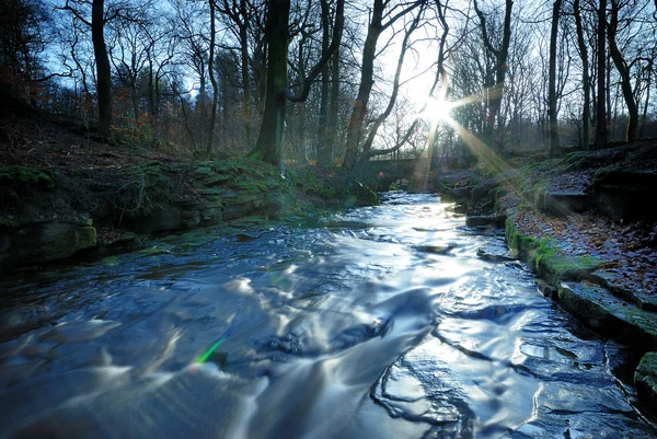 Зимний поток - Англия — стоковое фото