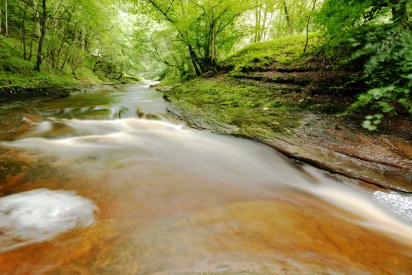 Спокойный осенний поток - Англия — стоковое фото