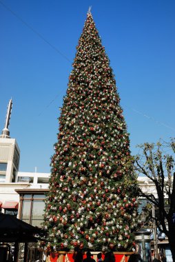 çok büyük bir Noel ağacı